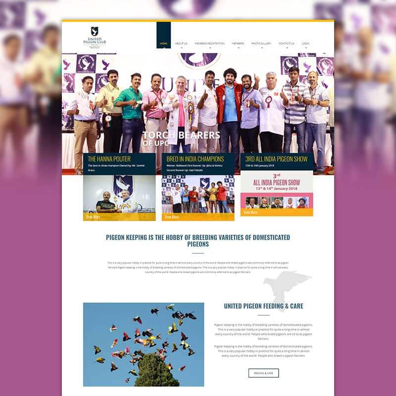 United Pigeon Club